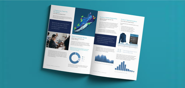 Product Feedback Insight: Mesh01 White Paper