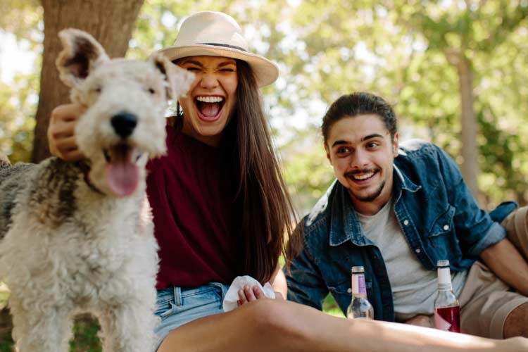 (Heart of MESH01 teaser)