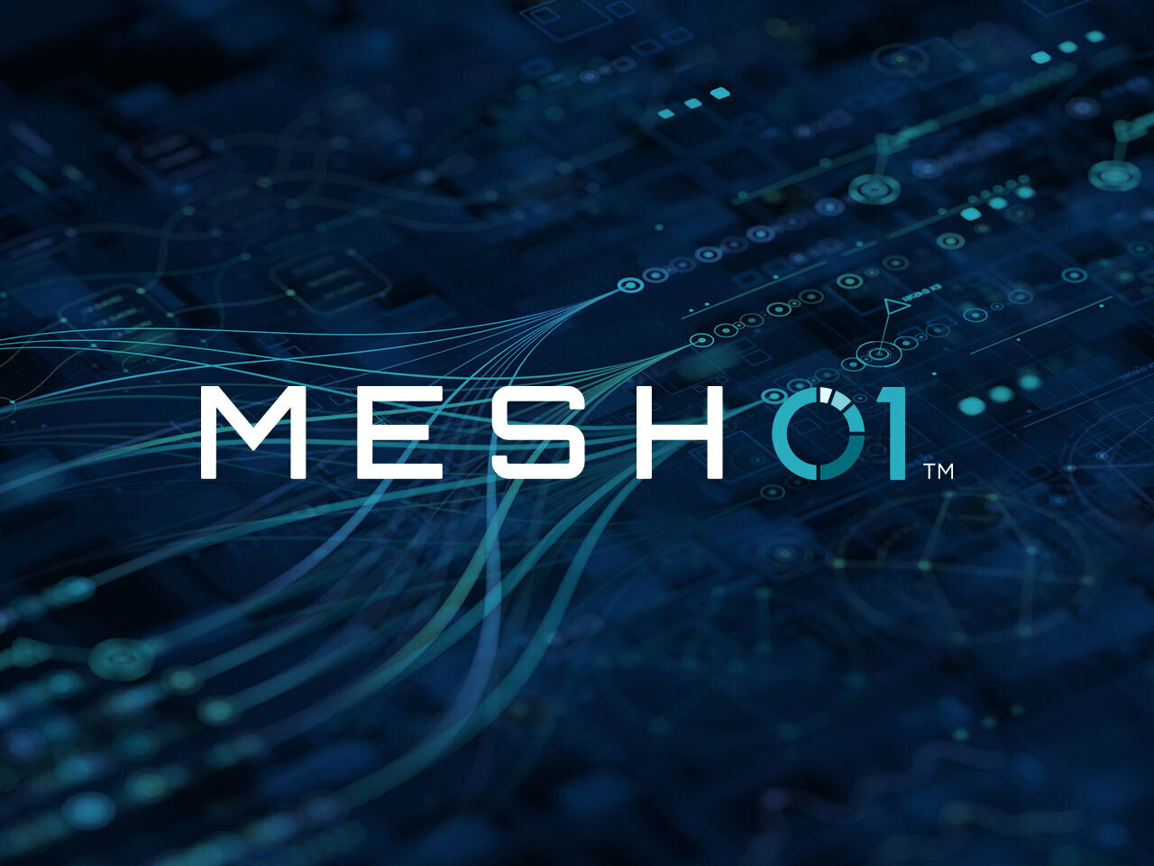 (MESH01 15 Years)
