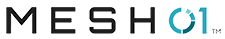MESH01